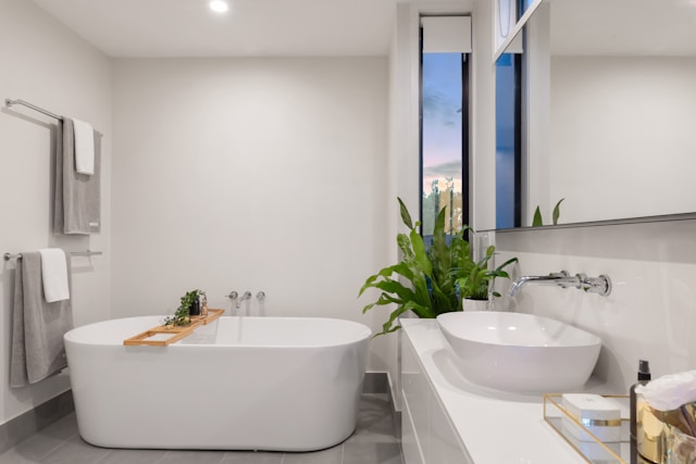 Master bathroom renovation